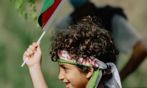boy in blue and white shirt holding flag of us a during daytime